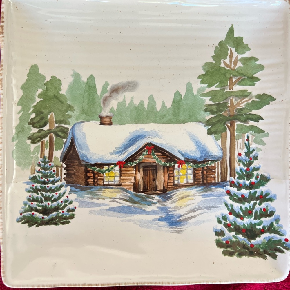 Beautiful Christmas dishes! 🎄